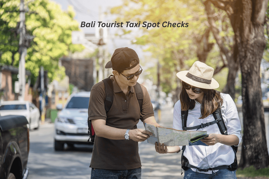 Bali Tourist Taxi Spot Checks: What Travelers Need to Know